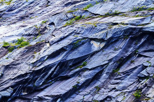 Cerny Bilder Durchsuchen 463 Archivfotos, und Videos