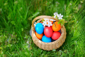 Colorful Easter eggs in a basket on a grass