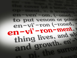 Dictionary Environment