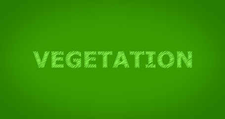 „VEGETATION” word on green background.
