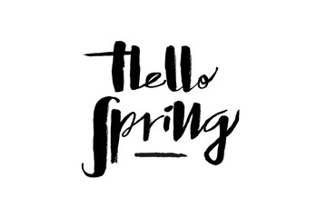 Hand drawn Hello Spring lettering typography poster. Celebration quotation for postcard, icon, card, logo, badge, invitation, poster, banner template lettering typography. Seasons Greetings. 