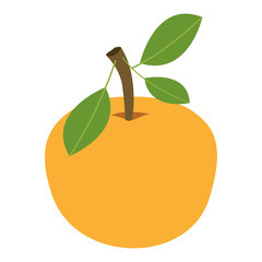 orange fresh and citrus fruit vector illustration design