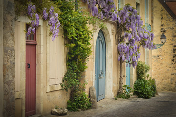 Fototapeta na wymiar Old wooden french doors with climbing wisteria on the wall