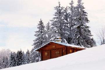 beautiful winter landscape