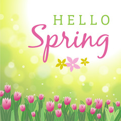 Hello Spring Tulips Square Background Vector Illustration 1