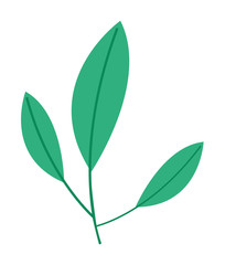 leafs plant ecology icon vector illustration design