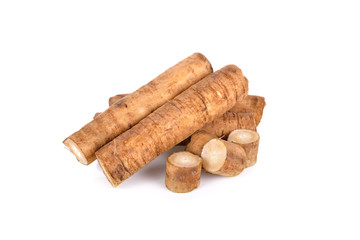 fresh burdock root or Gobo on white background