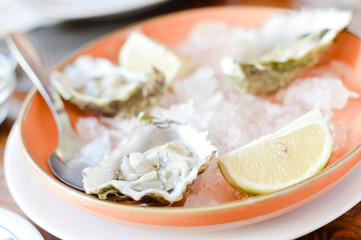 Oysters with ice and lemon on platter wooden table background. Closeup healthy freshness dieting food