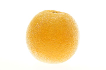 ネーブルオレンジ　オーストラリア産　白抜き