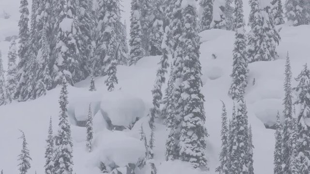 Tilt down, British Columbia skier on slope