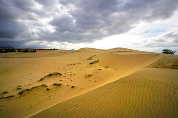 Sand dunes in Vietnam