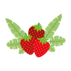 strawberries fresh fruit with leafs frame vector illustration design