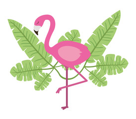 flemish tropical and exotic bird with leafs palm vector illustration design