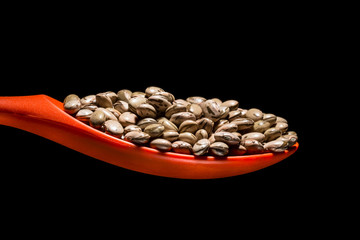 Carioquinha beans in a orange silicone spoon on a black background
