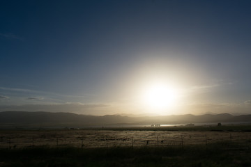 Obraz premium DSC_0008.jpg