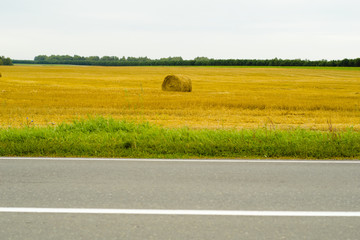 haymaking, harvesting in the fields near the road © Евгений Медведев