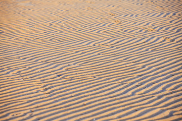 The texture of beach sand