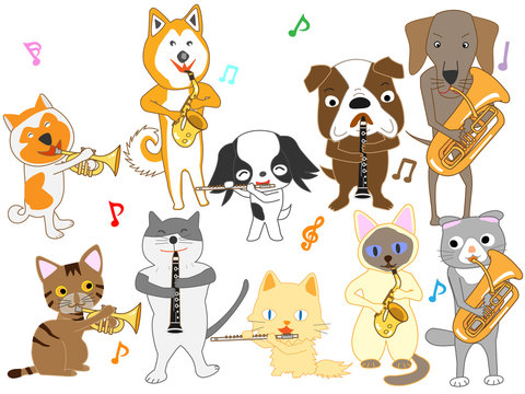 猫と犬のコンサート