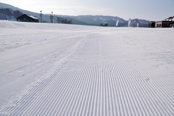 きれいに整備された日本のスキー場