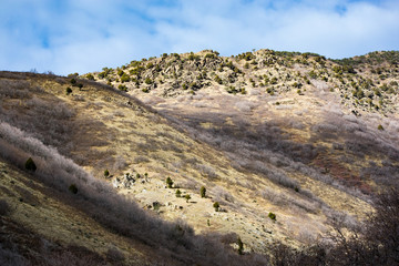 NIK_0016