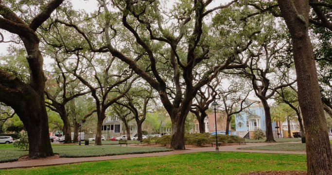 A daytime outside exterior (DX) establishing shot of a typical tree-lined park or town square in downtown Savannah, Georgia.  	