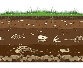 Soil with dead animals. Horizontal seamless earth underground surface with dinosaur and lizard bones vector illustration © vectortatu