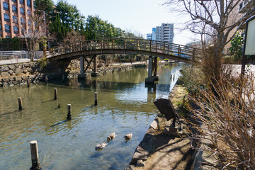 木場親水公園
