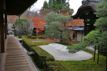 red maple leaves in Buddhism temple in autumn