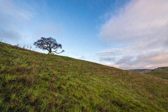 Del Valle Regional Park At Sunrise