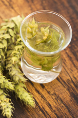 Sideritis taurica tea on wooden background