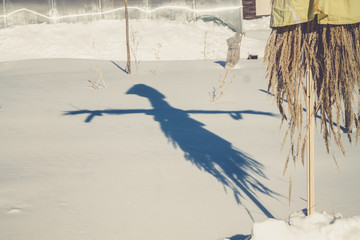 a shadow of effigy of winter on the snow during Russian holiday of Maslennitsa