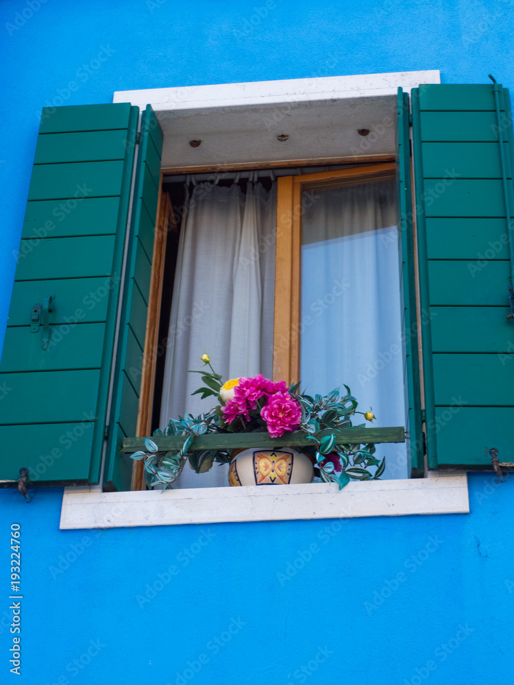 Wall mural open blue window shutters with pink flowers in burano venice italy