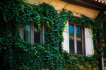 old window on old wall