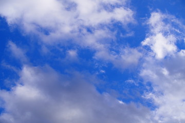 雲