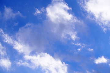 雲
