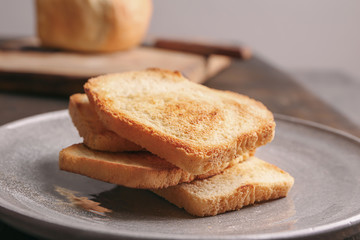 Plate with tasty toasted bread, closeup