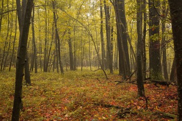 Hiking in Autumn