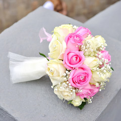 Close up of white flowers