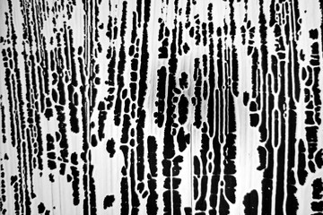 Distress Paint Vertical