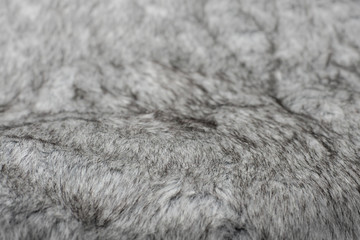 Grey Fur