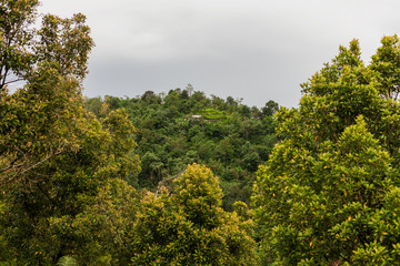 Obraz premium View on village on hills. Winter rainy and cloudy season. Bali, Indonesia.