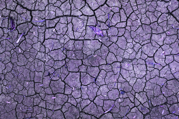 Abstract crack texture background, vintage purple filter 