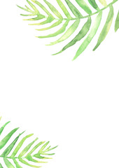 Watercolor Palm leaf background. Green on white watercolor hand drawn illustration. Green tropical palm leaf. watercolor watercolor card, postcard, invitation