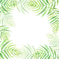 Fototapeta premium Watercolor Palm leaf background. Green on white watercolor hand drawn illustration. Green tropical palm leaf. watercolor watercolor card, postcard, invitation