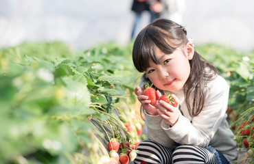 笑顔でいちごを持つ女の子