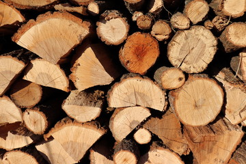 Firewood background, Pile of firewood