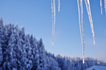 雪景色とつらら