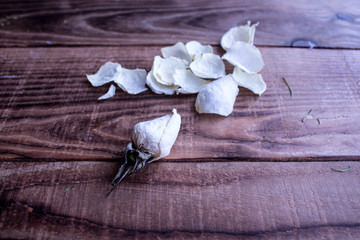 wilted white rose and petals on a wooden background