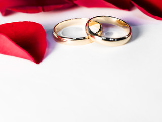  wedding rings and rose petals on white background, with soft focus, for wedding, holiday, anniversary, romantic mood