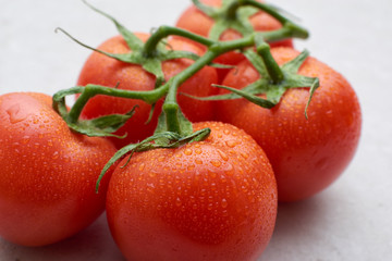 fresh ripe tomatoes on a branch